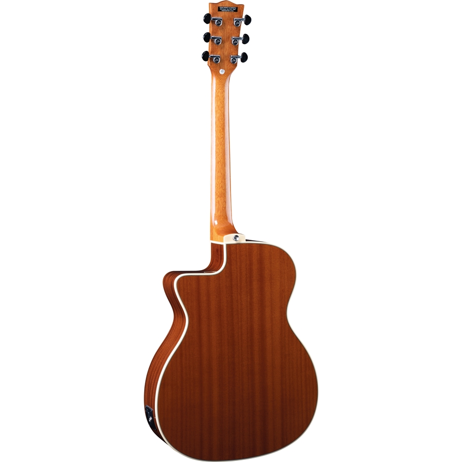 EKO NXT A100ce Natural - immagine 2