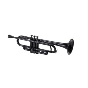 SOUNDSATION SKT 10BK 10RD