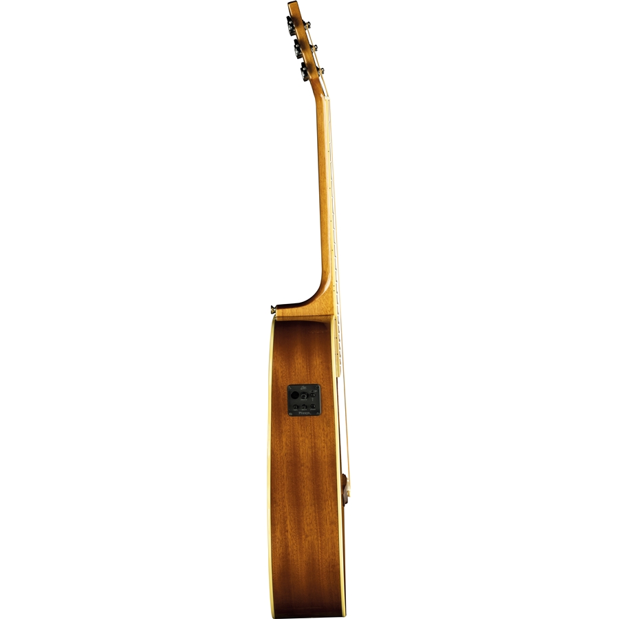 Eko One D EQ Vintage Burst - immagine 2
