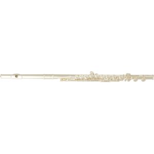SML VSM FL300E