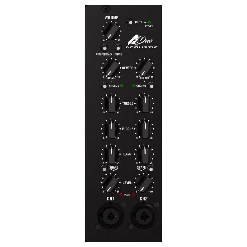 Laney A-Duo Acoustic Amp - immagine 3